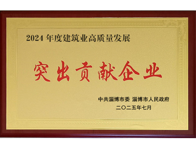 2024年度高质量发展突